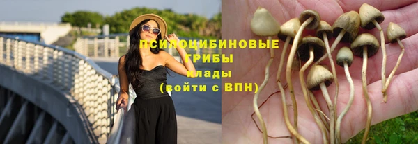 mix Алексеевка