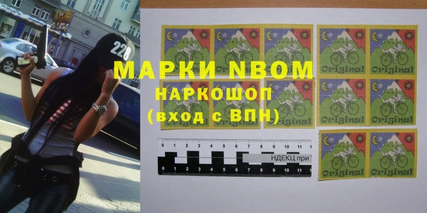 гидра Алексин