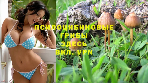 не бодяженный Аркадак