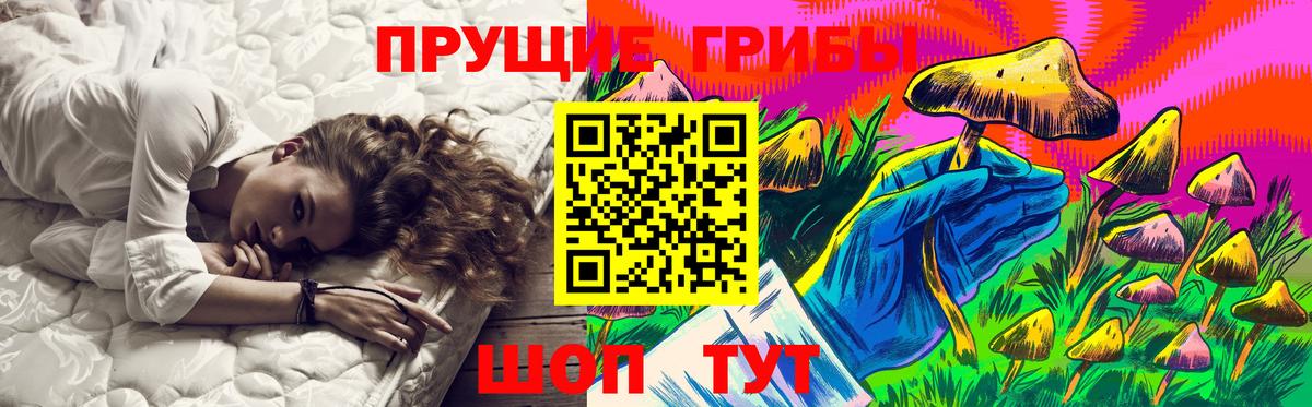 Минусинск  Псилоцибиновые грибы Cubensis  Галлюциногенные грибы ЛСД  Вход с VPN 